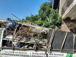 Best Dumpster Rental Services  in Chigan Center, MI